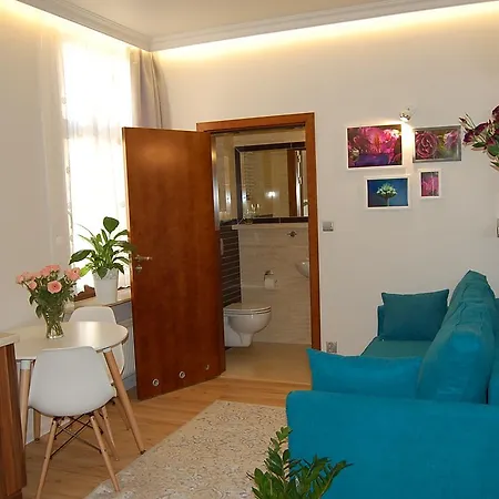 Homestay Star