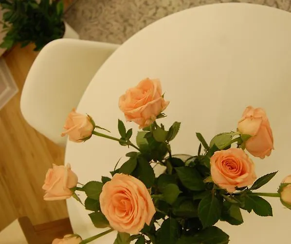 Star Проживание в семье *