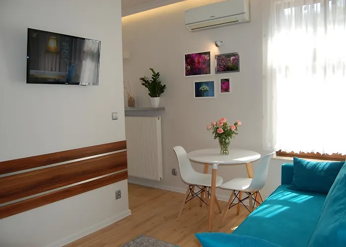 Star Проживание в семье *