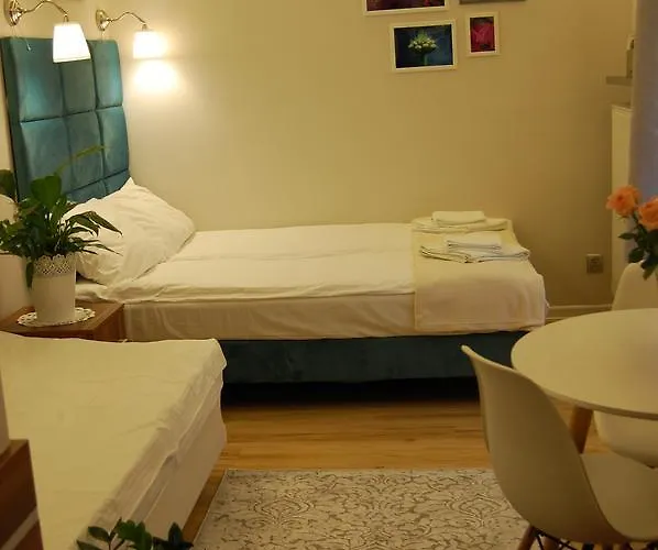 Star Проживание в семье Мендзыздрое